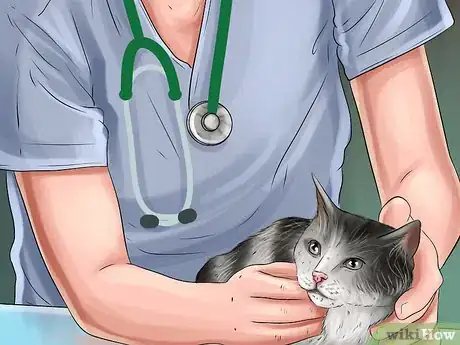 Image titled Diagnose and Treat the Cause of Deformed Cat Nails Step 6