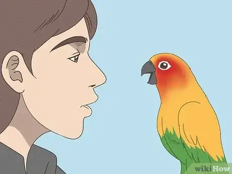 Image titled Teach a Conure to Talk Step 2