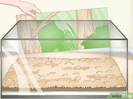 Image titled Build a Vivarium Step 9