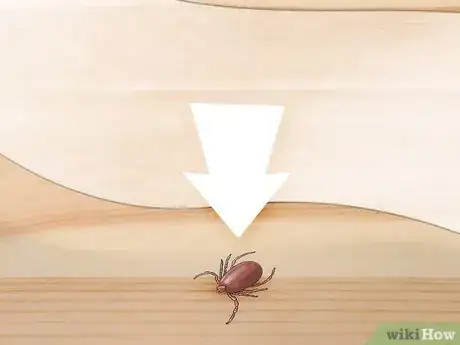 Image titled Kill a Tick Step 2