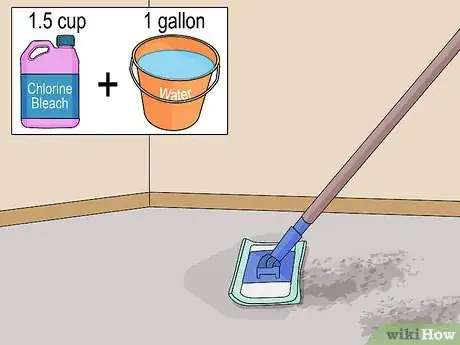 Image titled Troubleshoot Mold on Interior Walls Step 11