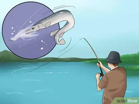 Image titled Catch Garfish Step 12