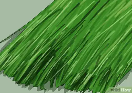 Image titled Juice Wheatgrass Step 20