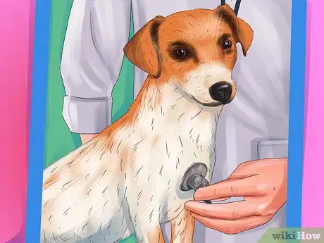 Image titled Care for a Jack Russell Step 10