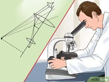 Image titled Use a Compound Microscope Step 11