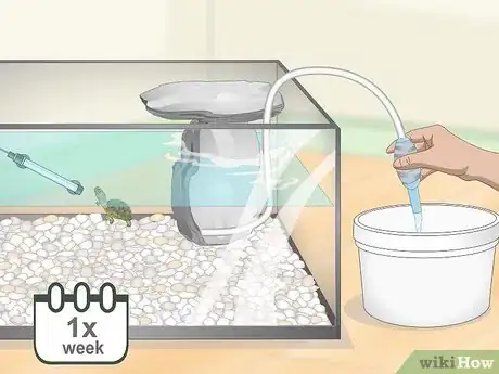 Image titled Take Care of Mini Pet Turtles Step 11