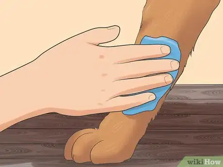 Image titled Treat Liver Failure in Dogs Step 7