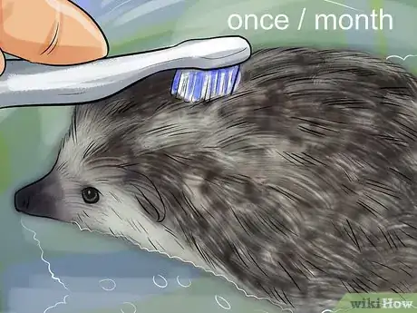 Image titled Bathe a Hedgehog Step 10