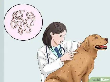 Image titled Keep a Dog From Throwing Up Step 4