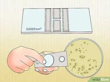 Image titled Measure Bacterial Growth Step 1