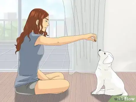 Image titled Get Your Puppy to Stop Biting Step 5