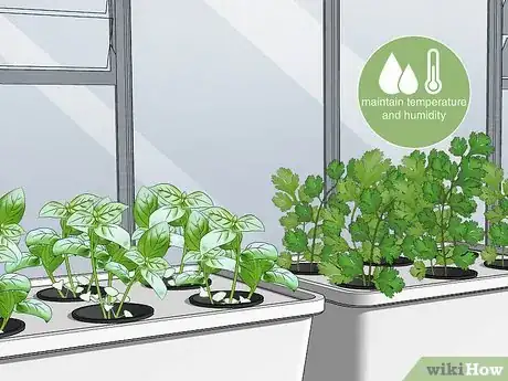 Image titled Grow Hydroponic Vegetables Step 7