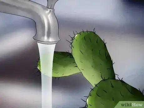 Image titled Save a Dying Cactus Step 15