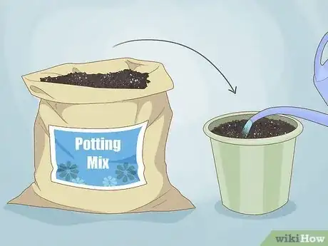 Image titled Use Self Watering Pots Step 2