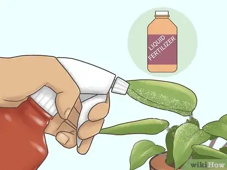 Image titled Grow Philodendron Step 11