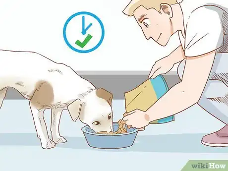 Image titled Care for Dogs Step 5