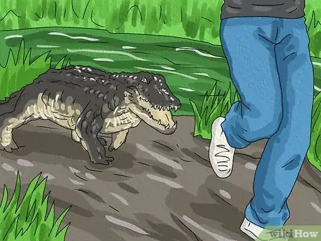 Image titled Dreams About Alligators Step 2