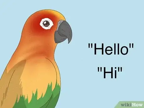 Image titled Teach a Conure to Talk Step 1