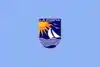 Flag of La Punta