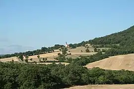 View of Brenas