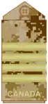Arid-region CADPAT uniform (old insignia)