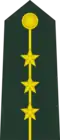 Captain