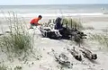 Many shipwreck remains can be found on the beaches