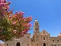 Crape myrtle during summer in Sombrerete, Mexico