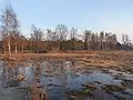 Wet period after the snowmelt.