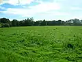 The site of the old 'Formal Gardens' from the walled gardens