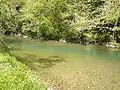 Gradac river lower flow