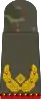 Brigadegeneral(retired)