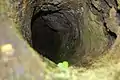 Inside view of lava tree with moss