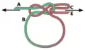 Tightening the Lapp knot loop.