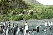 Green Gorge Hut