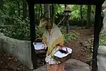 Outside of the house, Mother Goat goes out shopping, while the wolf stalks her little goats.