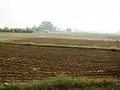 Farms