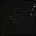 A multicolored Orionid.