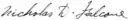 Signature of Nicholas D. Falcone