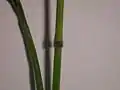 Node structure