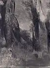 The Trees, c. 1890s (Museum of Fine Arts, Houston)