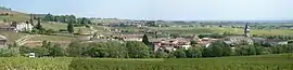A panoramic view of Chénas