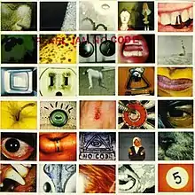 A set of Polaroid photos. On the upper side the title "Pearl Jam&nbsp;– No Code" is written in red letters.