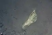 Providence AtollNote: This image is not aligned North/South, Providence Island runs very close to N/S, unlike this image