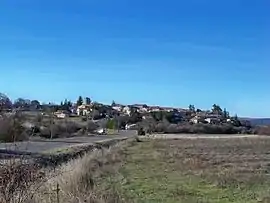 A general view of the village of Revest-du-Bion
