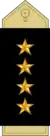 Captain