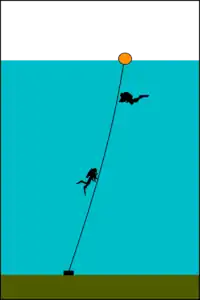 Basic shotline: Weight, and float connected by a line