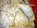 Pericardial fluid