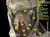 Submandibular gland