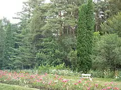 Inside Dendropark